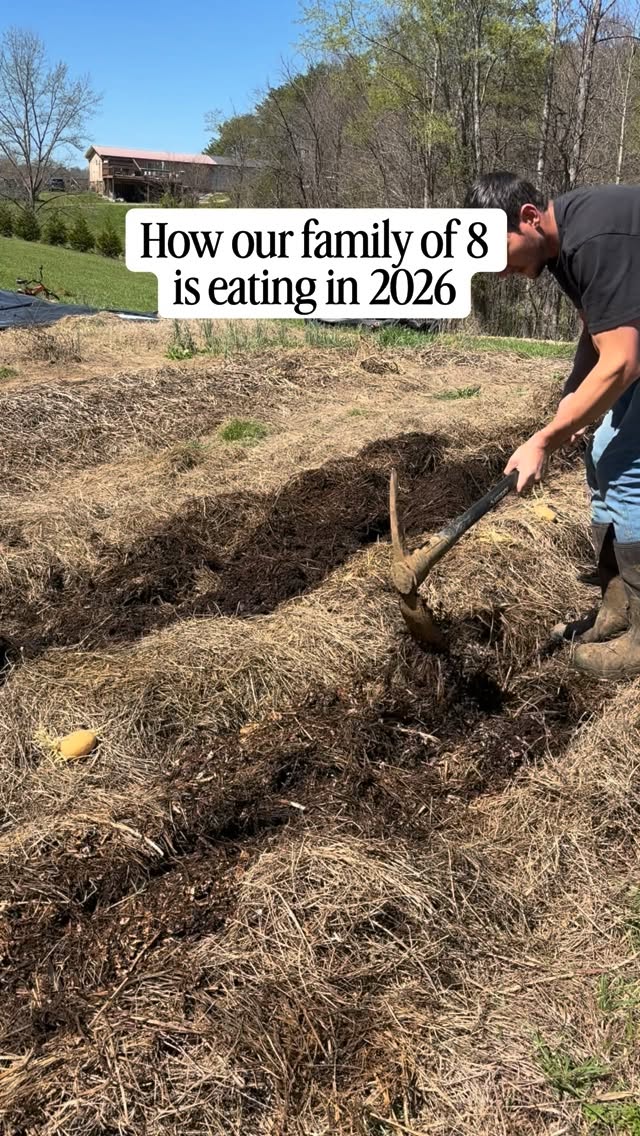 Just trying to grow the good stuff for our family đ #country #food #grow