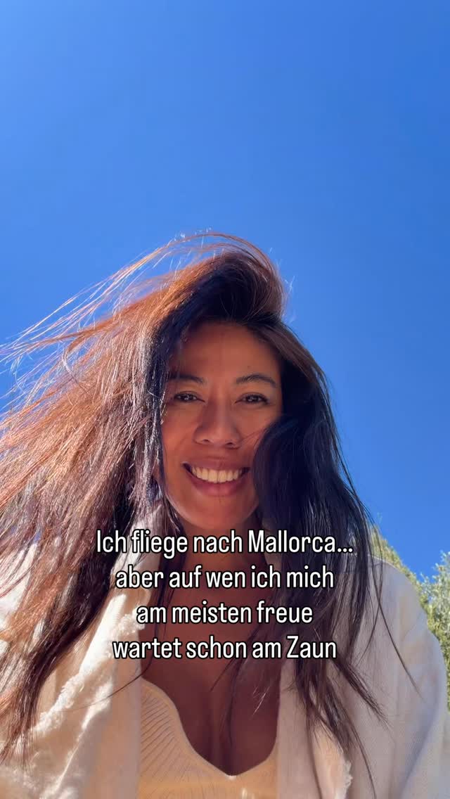 Das ist Malu, das Pferd von nebenan.
Kaum angekommen auf der Finca, gehe ich als erstes zum Zaun…
und dort wartet sie schon.
Malu 🤍
meine kleine Zaunfreundschaft.
Jedes Mal, wenn ich sie sehe, geht mein Herz auf.
Ganz besonders jetzt, seit die Hähne nicht mehr da sind…
die ich so schmerzlich vermisse.
Mein Moment des Nachhausekommens.
Eine dieser kleinen, vollkommen unerwarteten Zaunbegegnungen,
die unsere Finca auf Mallorca jeden Tag besonders machen.
Malu kommt täglich vorbei, schaut kurz rüber
und verzaubert einfach jeden.
Nicht nur uns.
Auch unsere Gäste sind komplett verliebt
und bringen ihr ihre liebsten Snacks: Garroves.
