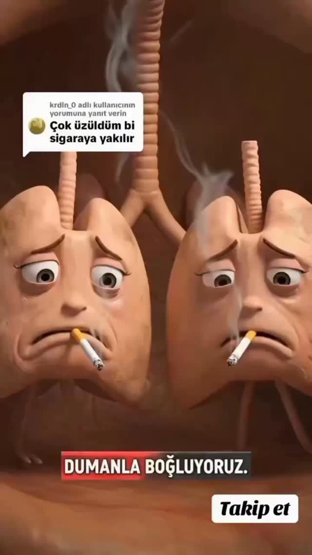 Bağder - Sigara Ciğerleri Yok Eder Öldürür Sağlığınızı Koruyun #uyuşturucu #uyuşturucuyahayır #uyuşturucuylamillimücadele #keşfet #keşfetteyiz