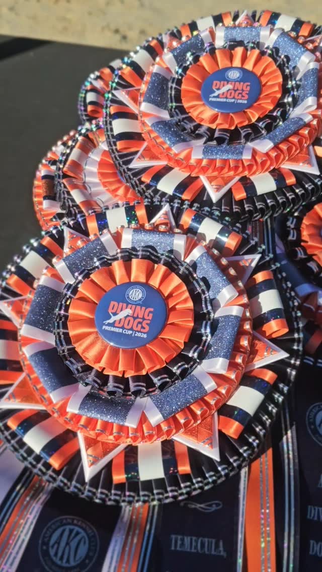 Temecula, CA 📍
Galway Downs 🐎
Dock Diving Premier Cup 2026
We entered both Pico & Fizz as they both had the requirements needed. Sam & Fizz got pulled from the raffle!
So I got promoted to full-time cheerleader for the weekend 😂 Honestly… I wasn’t mad about it. Sad to be without *my* dogs? Yes, very.
They went out and handled it like pros, and I’m so proud of them! Truthfully, it was just as exciting (if not more) watching a team I’ve coached step onto a stage like that and deliver!
Watch it May 3 on ESPN2 / AKC TV to see who the winner is!! 👀📽
Enjoy some behind the scenes!!