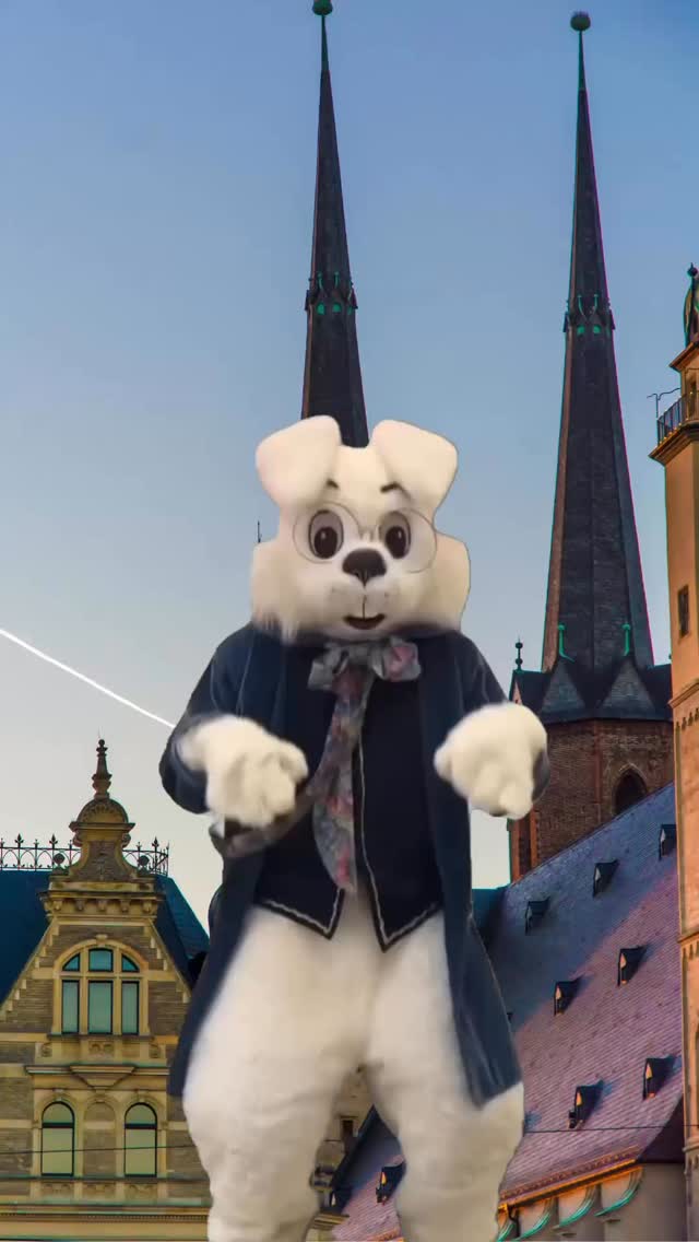 𝗙𝗿𝗼𝗵𝗲 𝗢𝘀𝘁𝗲𝗿𝗻
Ich wünsche euch und euren Familien ein schönes Osterfest, ein paar ruhige Stunden und hoffentlich auch etwas Sonne.
Und wer an den Feiertagen noch ein schönes Ausflugsziel in Halle sucht: Die Osterausstellung in der Neuen Residenz ist jedes Jahr ein echtes Highlight. Schaut gern mal vorbei. Der Eintritt ist frei.