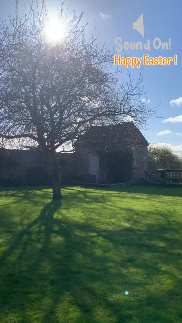 The sunshine after the storm 🫶 Happy Easter! Wishing you all hope, joy and new beginnings today ❤️#eastersunday #englishgarden