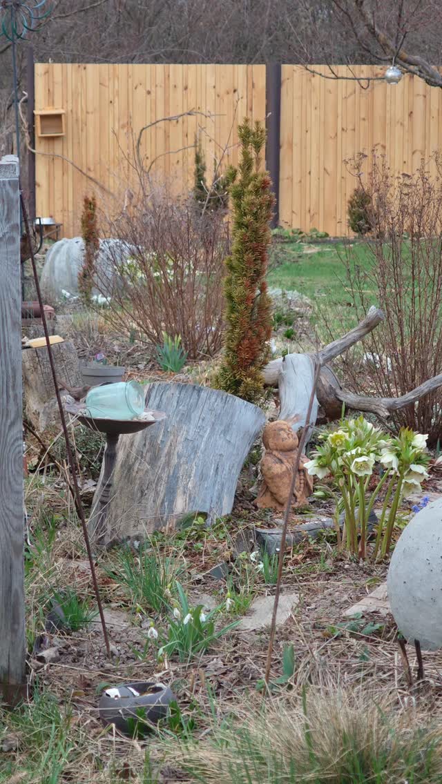 Звуки вечірнього саду