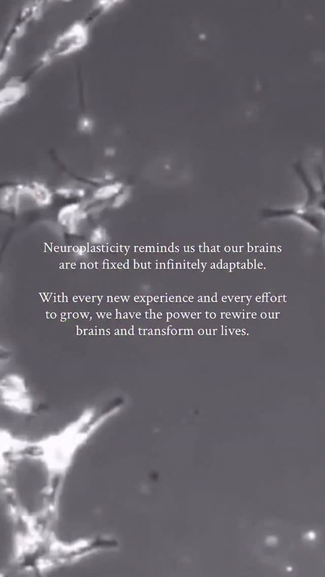 Neuroplasticity provides us so much hope šš½
Through Neuroplasticity, we can:
šøCreate new habits
šøBreak old habits
šøManage pain effectively
šøRegulate emotions adeptly
šøEnhance cognitive flexibility
šøIncrease resilience to stress
šøLearn & create new memories
šøAdapt to changing environments
šøRecover from injury, illness, or trauma
It is never too late and you are never too oldš§ š
.