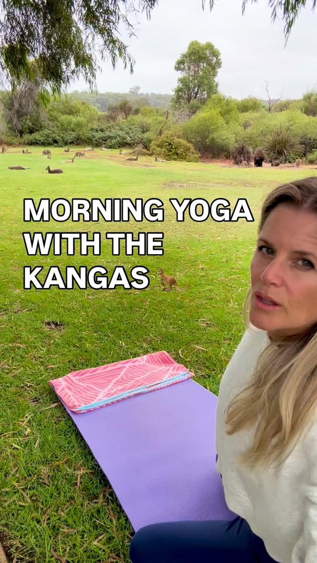 Yoga with the kangaroos 🦘🧘♀️ Change of scenery today for daily yoga… The tree protected me from the rain 🌳 Thank you Mother Nature 🙏
#yogainnature #kangarooyoga #naturalinnerhealth #tammymillernaturopath #nervoussystemregulation