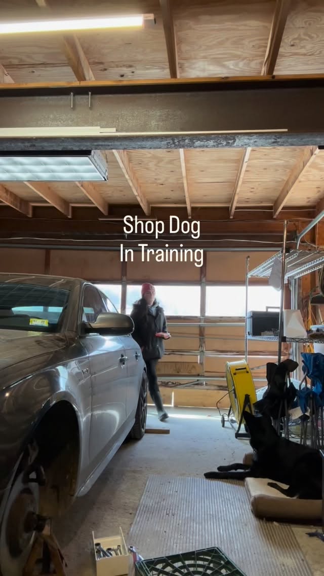 Settle on “Place” is a cue with endless possibilities.
Comment PLACE and I’ll send you the link to a handout on how to teach this to your dog! 🛞🐾
•
•
•
#positivereinforcementdogtraining #doglovers #802dogs #shopdog
