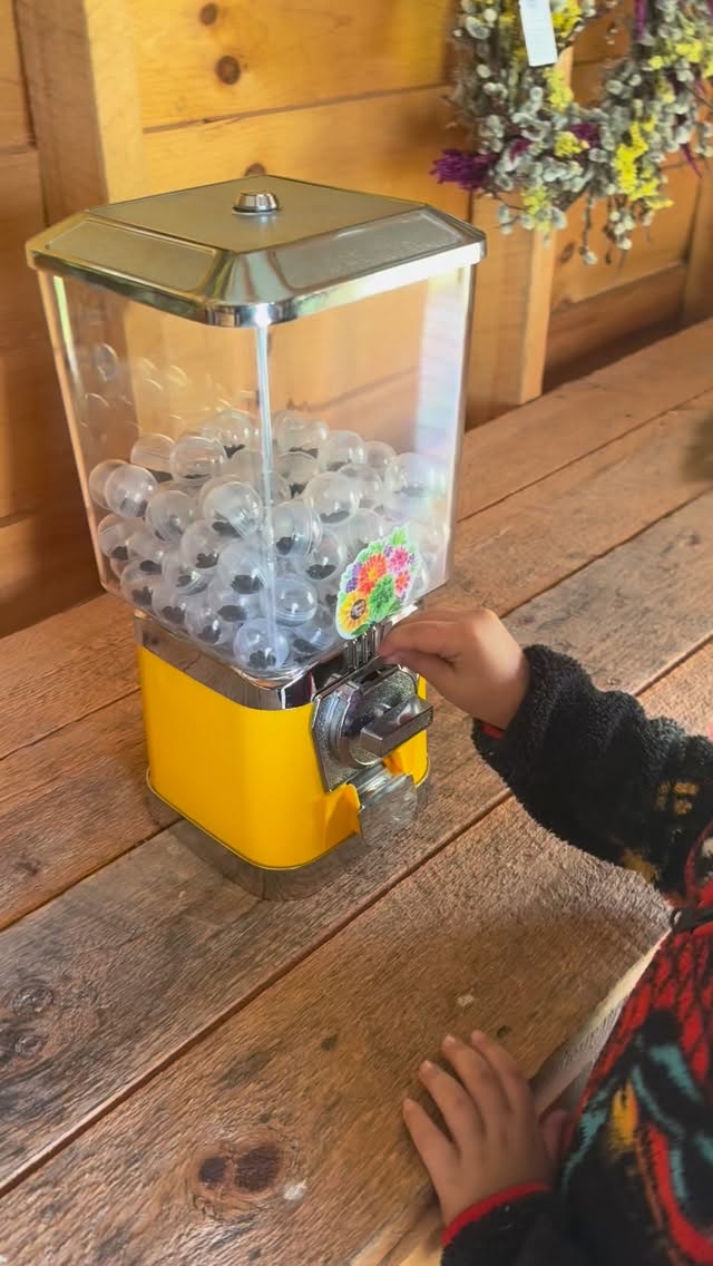 For the young and the young at heart! Grab a quarter and come get some sunflower seeds to plant! 🌻