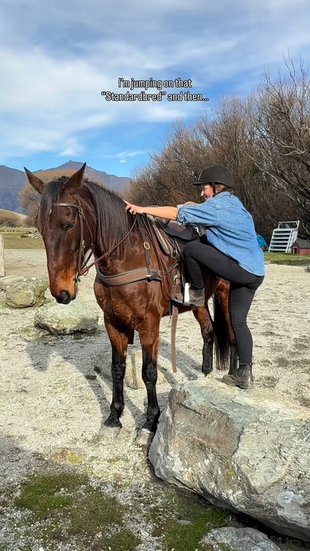 What would be your breed if you could pick any?!
Featuring “Kat” our amazing Head Guide @kat_motyl @idratherberidingnow
.
.
.
.
.
#standardbred #horsebreeds #exracehorse #horserider #lovelife