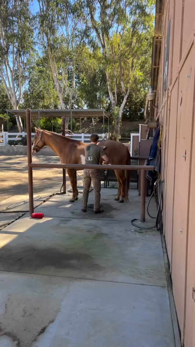 Father/son team. Both marines corps veterans and both great men.
Credit for the song goes out to one of my besties, @beautymaster67 sister, Stacey. Great song and appropriate for this father son team.
Thank you Stacey!