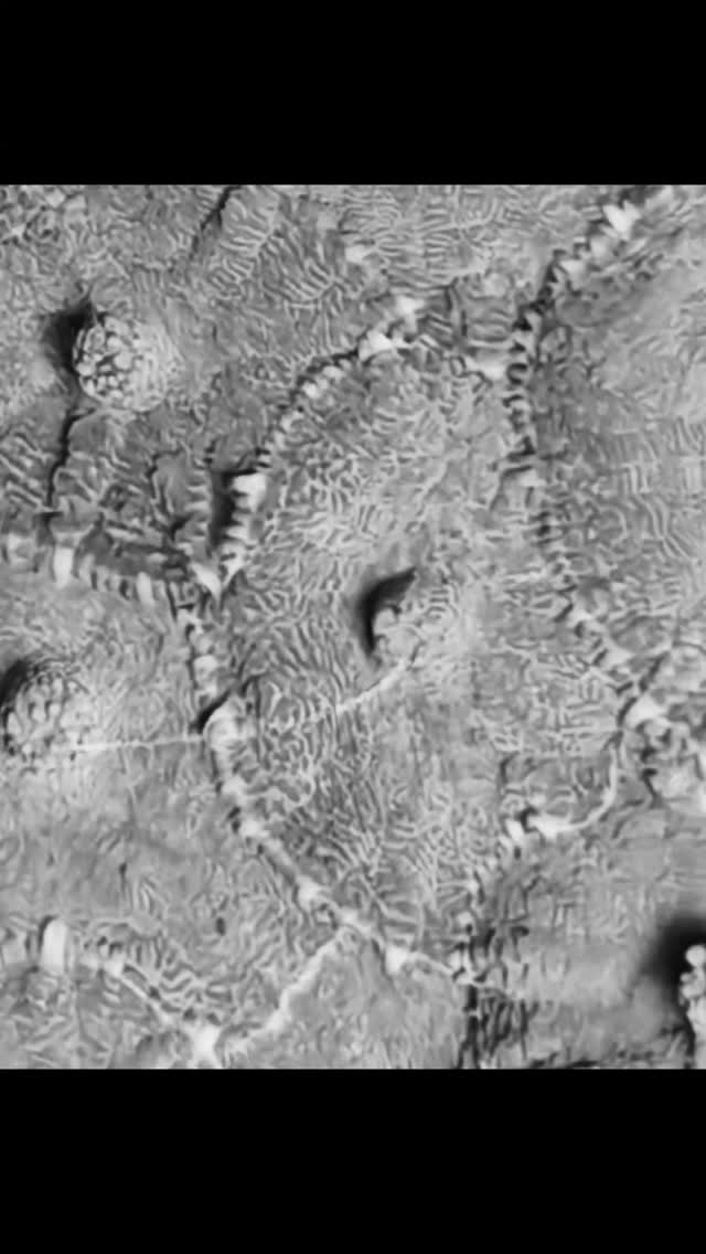 🚨 Sono arrivati gli alieni 👽
Colori incredibili, movimenti ipnotici… non è fantascienza, sono i nostri nuovi coralli fluorescenti 🌈
Cosa aspetti? Vieni a scoprirli dal vivo e porta a casa qualcosa che non troverai da nessun’altra parte.
📍 Solo da Reef Aquarium
Oppure online con spedizioni assicurate.
Www.reef-aquarium.it
📍 Via Gasperina 296, Roma
#corallifluorescenti #reefaddict #acquariomarino #rifaquarium