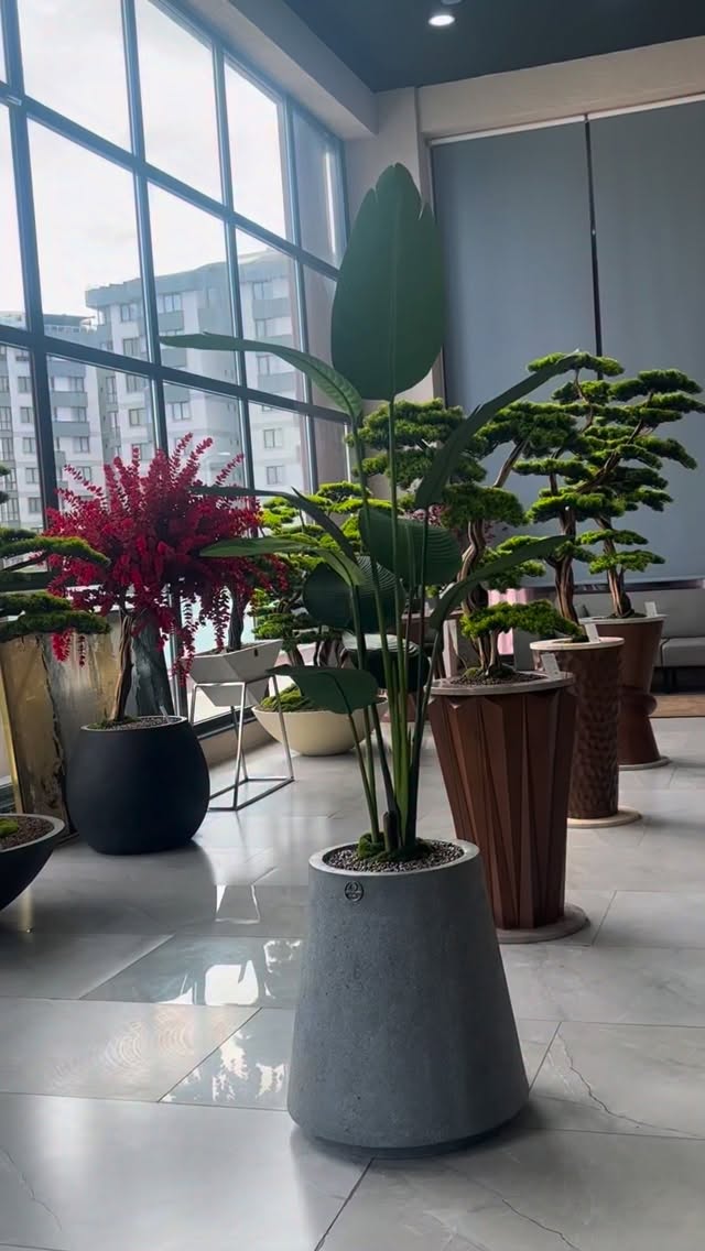 Doğadan ilham, lüksten vazgeçmeyenlerle 🌿
#artificialbonsai #homedecor #dekoratifağaçlar #dekorasyon #dekorasyonfikirleri