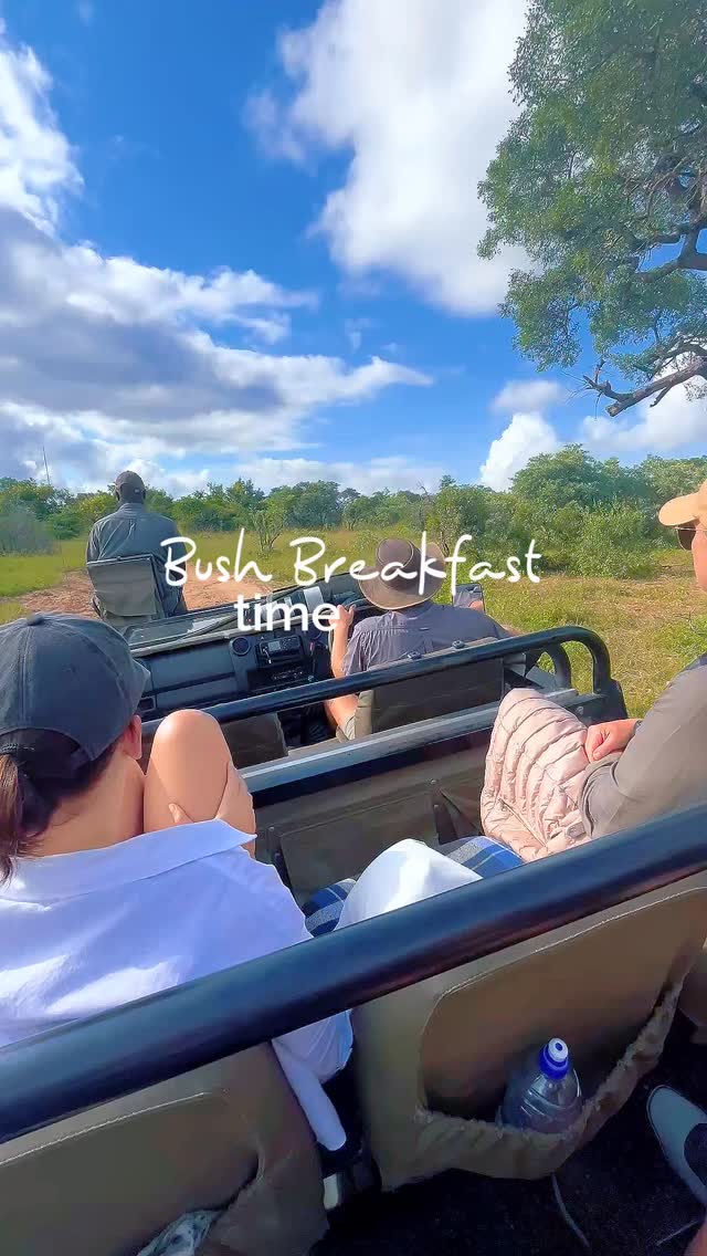 At Siviti, our mornings usually start with an early wake-up call and a game drive, but every now and then, there is a bit of a twist.
You’ll be tracking a leopard or watching the sunrise, round a corner and find a full breakfast spread waiting in the middle of the wild!
Nothing beats that feeling of wrapping up a game drive with fresh air, good food, and the sounds of the bush all around you.
If you have been lucky enough to pull up to one of these bush breakfast stops, you know exactly what we mean.
What has been your favourite Siviti surprise when you stayed with us? Let us know in the comments.
#safari #africansafari #wildlifeofsa #wildlifesafari #wildlifeofinstagram
krugernationalpark thornybushgamereserve luxurysafari luxurysafarilodge travelsouthafrica