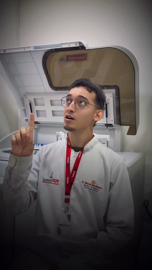 Ureia não é só um número no exame — é um marcador direto do metabolismo proteico e da função renal.
🔺 Aumento: pode estar associado à azotemia (pré-renal, renal ou pós-renal), desidratação, hemorragia gastrointestinal ou dietas hiperproteicas.
🔻 Diminuição: menos comum, mas pode indicar disfunção hepática, baixa ingestão proteica ou alterações metab