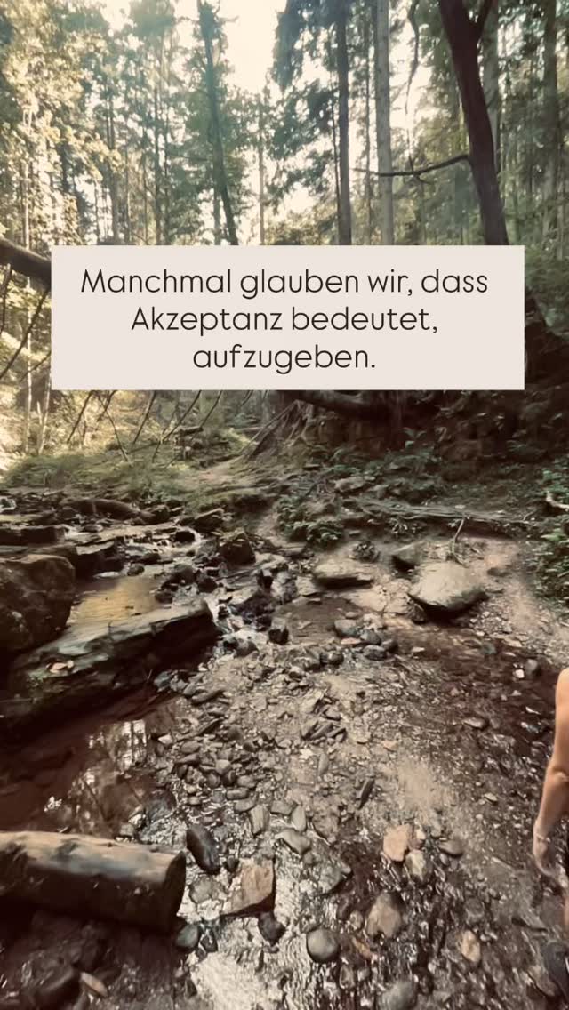 Manchmal glauben wir, dass Akzeptanz bedeutet, aufzugeben. Doch was, wenn sie in Wahrheit der erste Schritt zurück zu dir ist? 🌿
Vielleicht musst du nicht ständig gegen deinen Körper kämpfen, um dich weiterzuentwickeln. Vielleicht beginnt Veränderung genau dort, wo du aufhörst, dich zu verurteilen.
Reflexionsfragen:
Was versuche ich gerade an meinem Körper zu kontrollieren?
Wovor habe ich Angst, wenn ich loslasse?
Wie würde es sich anfühlen, meinem Körper heute mit mehr Freundlichkeit zu begegnen?
Hör in die neue Folge rein 🤍
#selbstliebelernen #körperakzeptanz #podcastholistisch #holistischescoaching #akzeptanzheißtnichtaufgeben