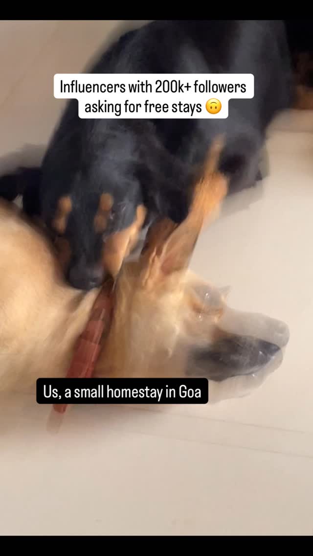 Running a small homestay in Goa means explaining to influencers that vibes don’t cover the bills 🥲🥹
#SmallBusinessGoa #GoaHomestay #InfluencerProblems #goaairbnb