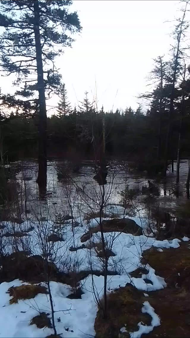 Evening flood with the river well up over the path. 🌊🙏