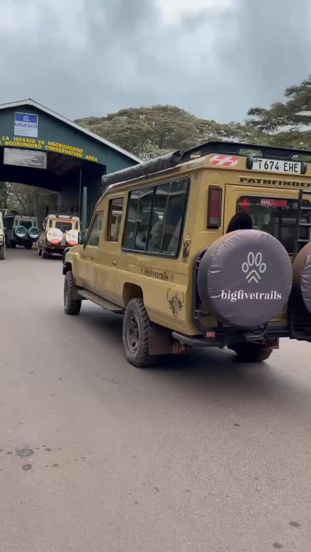 This isn’t just a safari… it’s a front-row seat to the wild 🦁🔥
From sunrise game drives to unforgettable close encounters—this is where stories are born.
Imagine watching lions hunt, elephants roam, and sunsets that don’t look real…
Ready to experience Africa the way it’s meant to be seen? 🌍✨
📩 DM ‘SAFARI’ to plan your trip
#africansafari #tanzaniasafari #safariguide #serengeti #ngorongoro