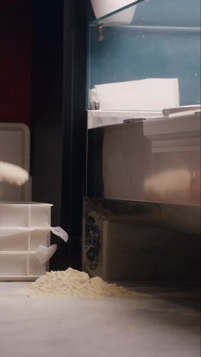 Dalla preparazione fino all’ultimo tocco, impossibile non amare la nostra pizza! 🍕
#pizzeria #dacarlo #ristorante #lagodigarda #esplora