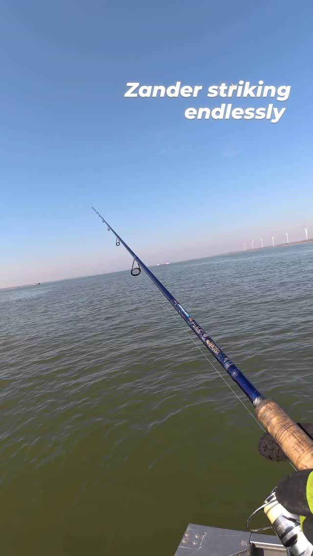 Endless bites on my Legend Walleye Tournament
ST. CROIX best rods on earth.
#yamahaprofishing #batterylabs #stcroixrods #spro #delalandepeche
