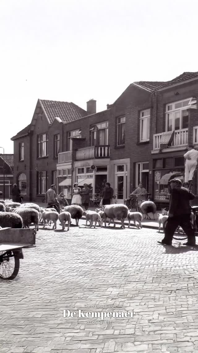 🎞️ Herken jij het nog?
Er is veel veranderd in Winkelgebied de Kempenaer, maar het warme dorpsgevoel is nog altijd aanwezig.
📸 Foto's zijn tot leven gewekt met AI
#vroeger #winkelgebied #shoppen #winkelen #genieten #gezelligheid #shoplocal #bollenstreek #oegstgeest