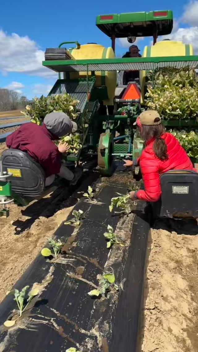 We’re still celebrating Earth Day 🌎 today and everyday here at Longview! Be sure to stop by the stand for fresh greens, veggie/flower starters, seeds and much more! Open Thursday-Sunday 10-4pm