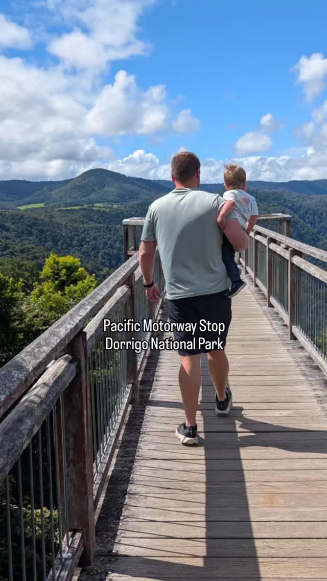 Planning a Pacific Motorway road trip? The Wonga Walk at Dorrigo National Park is an absolute must. 🌿
While the full loop is a classic, opting for the shorter trek out to Crystal Showers Falls and back is a perfect way to see the highlights without committing to the full 6.6\text{ km} circuit.
The trail is paved and incredibly well-maintained, making for a smooth walk through the lush canopy. However, a heads-up for families: despite the paving, there are several sets of stairs and steep sections, so it is not stroller-friendly. You'll definitely want the carrier for this one!
What to Expect:
Wildlife Encounters: Keep your eyes (and ears) peeled! The park is teeming with life. We were lucky enough to spot several vibrant bird species and even crossed paths with a snake—a good reminder to always watch your step in the bush.🐍
The Main Event: Reaching Crystal Showers Falls is a true "wow" moment. The best part? You can actually walk behind the waterfall. Standing in the rocky cavern with the roar of the water in front of you and the mist on your face is an incredible experience. 💦
Pro-Tip: The rainforest can be quite damp and cool even on warm days, so wear sturdy shoes with good grip for the misty sections near the falls!