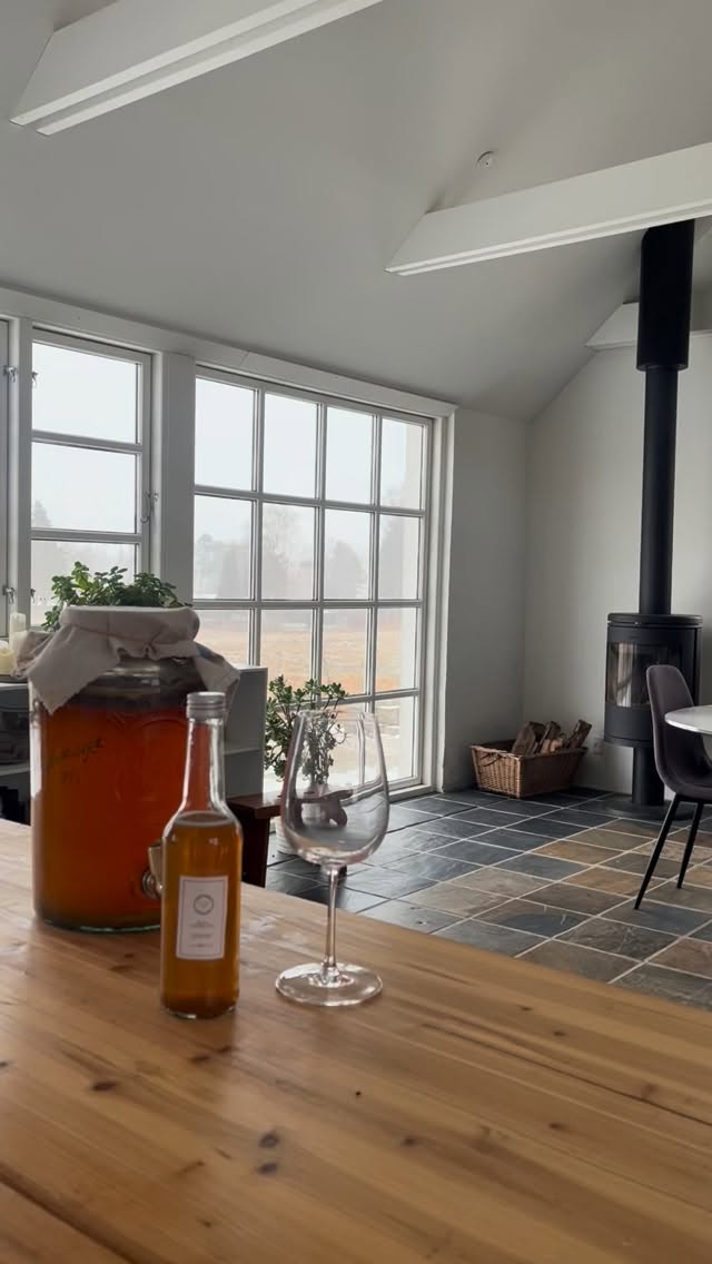 Kombucha er blevet lidt af en darling…
– men fermentering er så meget mere end en flot, perlende drik.
Ja, vi laver kombucha på workshoppen den 25/4.
Men vi stopper ikke der.
Du lærer også, hvordan du fermenterer helt almindelige råvarer til noget, der faktisk gør en forskel for din fordøjelse, dit blodsukker og din energi.
Det her er ikke bare en trend.
Det er gamle teknikker, der virker – også i en moderne hverdag.
Kombuchaen?
Den skal selvfølgelig være med… fordi den smager vanvittigt godt og stadig føles lidt som magi.
Vil du med bag hypen og lære det rigtigt?
Der er stadig pladser tilbage – tilmeld dig via link i bio eller skriv til mig.