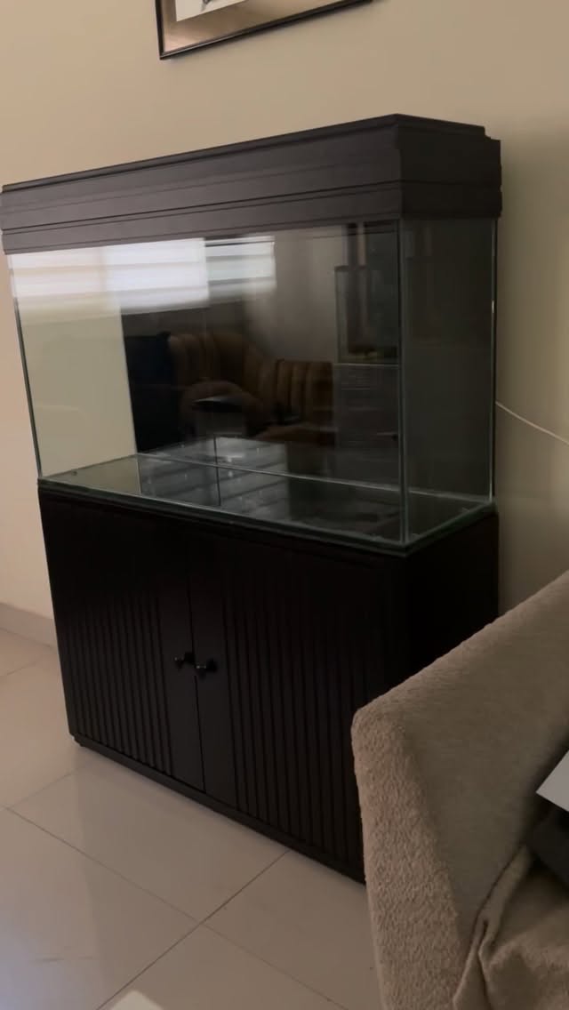 ✨ Eleva tu espacio con un ecosistema acuático de diseño ✨
Descubre el Acuario Kit Mónaco de 150 litros con mueble en color wengue oscuro, una pieza que combina sofisticación, equilibrio natural y funcionalidad en un solo concepto.
Diseñado para quienes valoran los detalles, este acuario no es solo un complemento decorativo, sino una experiencia viva que transforma cualquier ambiente en un punto de calma, estilo y exclusividad.
✔️ Capacidad ideal para un ecosistema estable
✔️ Mueble elegante en acabado wengue oscuro
✔️ Integración perfecta entre diseño y naturaleza
✔️ Ideal para hogares, oficinas o espacios premium
🌿 Convierte tu entorno en un refugio natural único.
📩 Escríbenos para asesoría personalizada y disponibilidad. #AcuariosDeLujo #AcuarioPremium #DiseñoInterior #DecoraciónElegante #AcuariosModernos