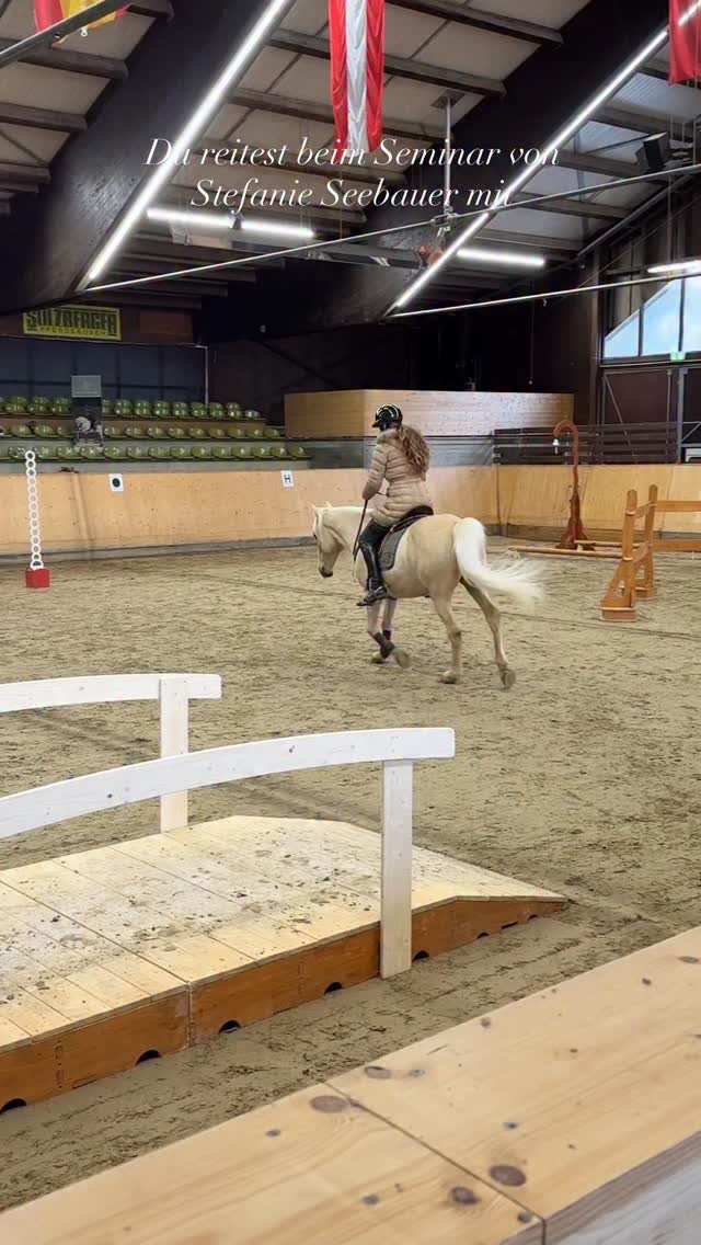 Rückblick von unserem Auftritt im @gestuetmarbach beim Seminar von @stefanie.seebauer 🫶🏼
•
Ich habe euch noch einen Rückblick versprochen und euch was zusammengeschnitten. Sui und ich durften den Working Equitation Parcours am Halsring zeigen und auch ein paar Einblicke in unsere Dressur Arbeit und meine Ausbildung am Halsring geben. 🫶🏼
•
Sui war sehr gut drauf und hatte GO! Den Trail haben wir lange nicht mehr geübt (ich glaube seit der Americana im September) und manche Hindernisse habe ich noch nie im Galopp bewältigt. Stefanie hat uns kurzerhand ins kalte Wasser geworfen und uns im Galopp durch den Pferch geschickt und auch über die Brücke!
•
Wir haben wieder mal festgestellt, dass Sui primär das Thema hat zu eifrig zu werden und den Schritt zu verlieren. Er will dann lieber kurze halbe Tritte machen und gleich wieder angaloppieren. Das war super gut, um Tipps fürs Training zuhause vom Profi zu bekommen und ich bin stolz auf Sui wie er diese neue Herausforderung mit mir gemeistert hat. 🐴🍀
•
Es war ein so schönes Team und wir gehen mit einer tollen Erfahrung nach Hause! Für mich war es spannend auch mit dem Headset ausgestattet zu sein, aber es hat unglaublich viel Spaß gemacht! Den ein oder anderen Lacher gab es wohl auch! Vom aufgeplatzten Stiefel (den ich auf meine große Portion Spätzle geschoben habe), bis hin zu Suis Ehrenrunde nach seinem Applaus war alles dabei. 🤣🤣 Zum Glück hat er unseren Kameramann @tomspic.de am Leben gelassen! 😅🙏🏻
•
Wir freuen uns auf weitere Erfahrungen, an denen wir gemeinsam wachsen dürfen. ❤️
Paddle von @signum_sattelservice -
lusitano_suerto für einen Rabatt von 10€ ab einem Einkaufswert von 50€
lusitano_suerto25 für einen Rabatt von 25€ ab einem Einkaufswert von 250€
lusitano_suerto50 für einen Rabatt von 50€ ab einem Einkaufswert von 1.000€
•
Halsring +
Vorderzeug von @arador.reitshop 🥰
•
Vielen Dank das wir dabei sein durften!