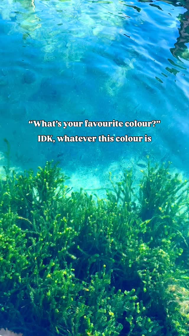 Let us show you the beautiful colours of Lake Taupō 💙💚
Sailing trips daily to the Māori rock carvings. Click the link in our bio.
#SailBarbary #LakeTaupo #LoveTaupo Travel New Zealand