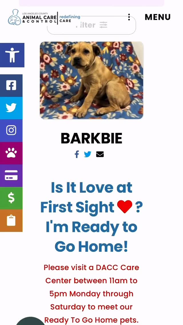 Come celebrate pack member Brooklyn’s birthday with us after Saturday’s pack walk! You can often see Brooklyn leading the pack walks with her dad. Let’s show our love for this sweet girl after the walk (Saturday 9 am at Colorado Lagoon)! Repost @syds_rescuepack : Happy 2nd Birthday to our crazy girl who loves running with @runninglocas, playing fetch, hiking, @blockheadbrigade and @trotsdogs pack walks, attending @lbdirtbags games, K9 Nose Work classes with @livelovedogtraining , @larpbo classes and playtime at @rockysroaddogs