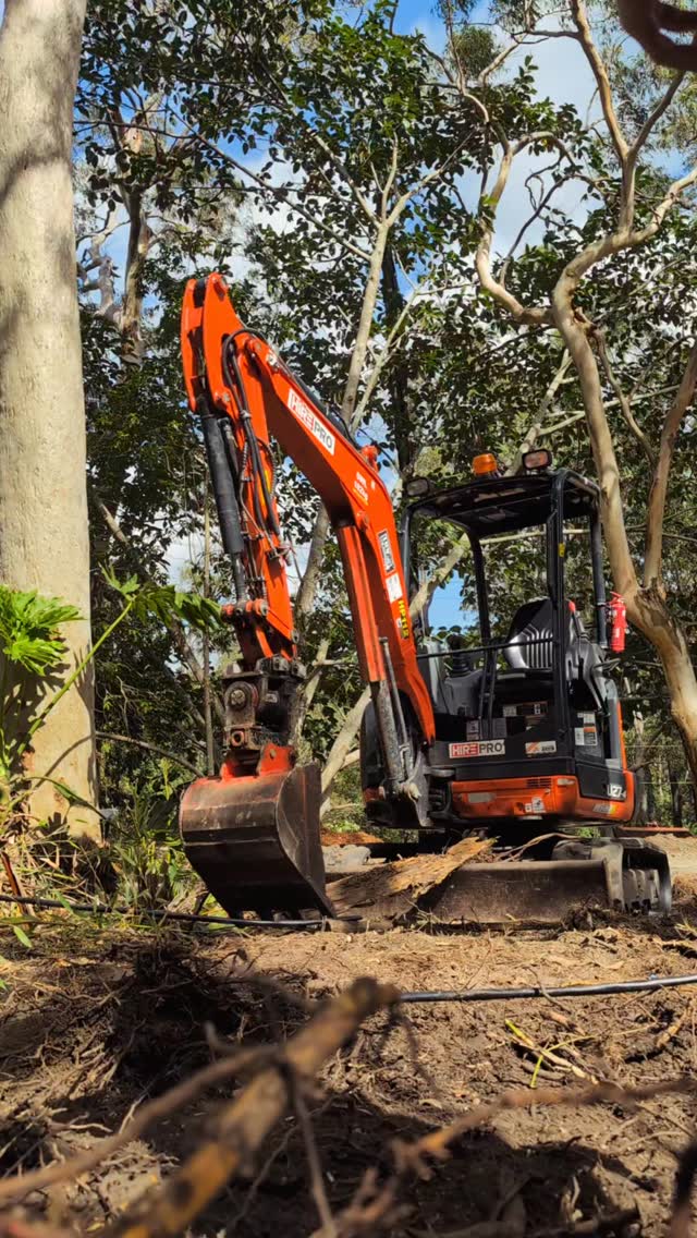 Digging out bamboo clumps to ensure 100% extermination of bamboo 🎍 Maybe some pandas would be handy in combination with the 2.7t digger from @hire_pro thank you for a great machine!