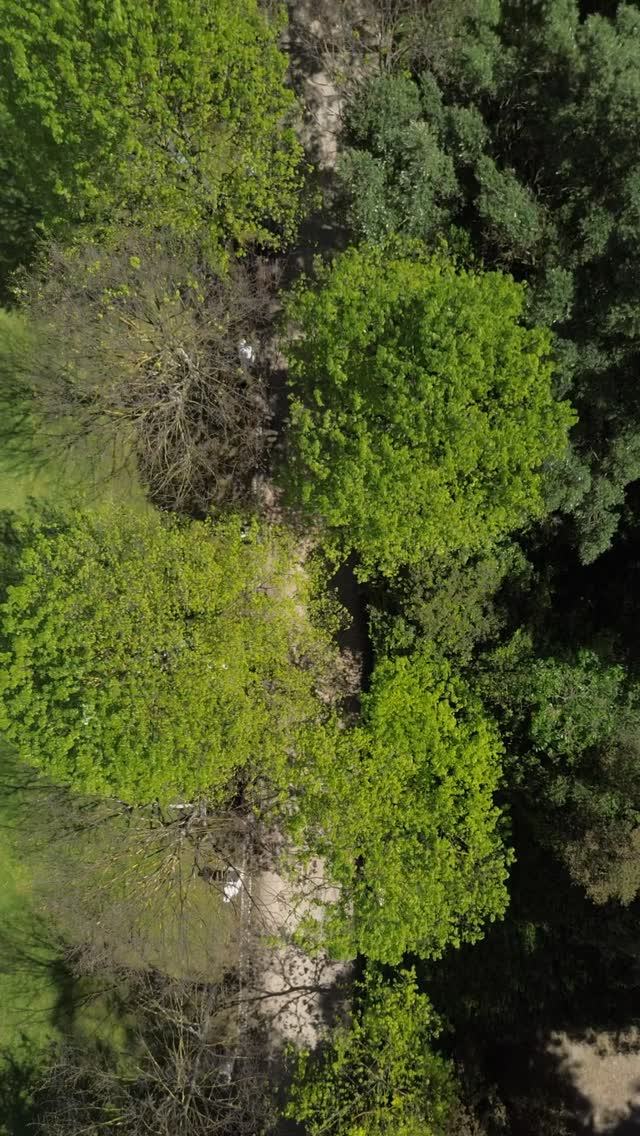 Jardim Bordallo Pinheiro é uma instalação site-specific situada nos jardins do Museu da Cidade de Lisboa - Palácio Pimenta.
Esta instalação permanente, ocupa o espaço do jardim com faianças de Raphael Bordallo Pinheiro num diálogo direto com o Museu homónimo, localizado em frente.
Joana Vasconcelos e Rafael Bordalo Pinheiro revelam, neste particular, espíritos semelhantes. O núcleo de trabalhos da artista, desenvolvidos a partir de uma seleção de animais em cerâmica, produzidos a partir de antigos moldes das fábricas dirigidas por Rafael e Manuel Gustavo Bordalo Pinheiro, constituem, não só, uma justa homenagem ao ceramista, mas, também, motivo para reavaliar o valor sociológico dos objetos e tradições
@joanavasconcelosatelier
@bordallopinheiroofficial
@museudelisboa