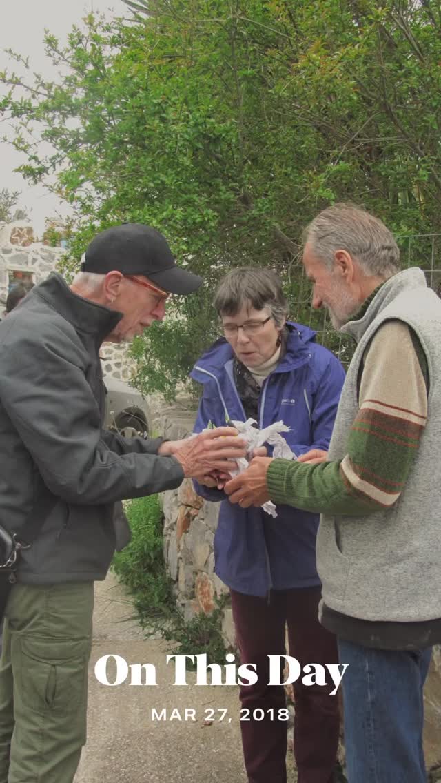 Random photos of the Bay Area Horticultural Society aka The Hortisexuals to Greece in March of 2018. Led by the incomparable botanist Lefteris Dariotis of Greece who also led our tour to Chile and New Zealand and lately to Turkey. He sells seeds and bulbs at: mediterraneanseedsandbulbs.com