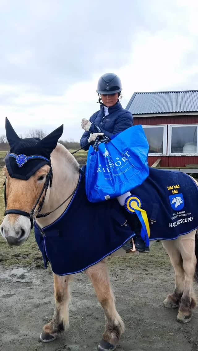 Våren är äntligen här och i söndags var det dags för årets första tävling på FRK. Det var en ponny dressyrtävling och vi fick se massa fina ritter och ponnies😊stort tack till @borjestingsrydhastsport och @svenskridsportab som har sponsrat med alla fina priser till tävlingen🙏🏼🥰🐴vi säger ett stort grattis till alla vinnare och placerade. Ett extra grattis till våra hemmaryttare nedan som knep flera vinster och placeringar👏🤩
🥇 Frida Lind på Eromir Frö kat D i LD:3
🥈Ella Lind kat A,C på Punchen i LC:1
🥈Ebba Lämpegård kat D på Count On Lily i LC:1
🥇Elin Backlund kat A,B på Höjerns Isa i LB:1
Nu kommer vi att anordna en dressyrtävling för häst V16 och DIV3 i hoppning för ponny/häst V17 och då kommer vi att behöva funktionärer. Så håll utkik på våra sociala medier så kommer anmälningslistorna som funktionär dyka upp inom kort🥰