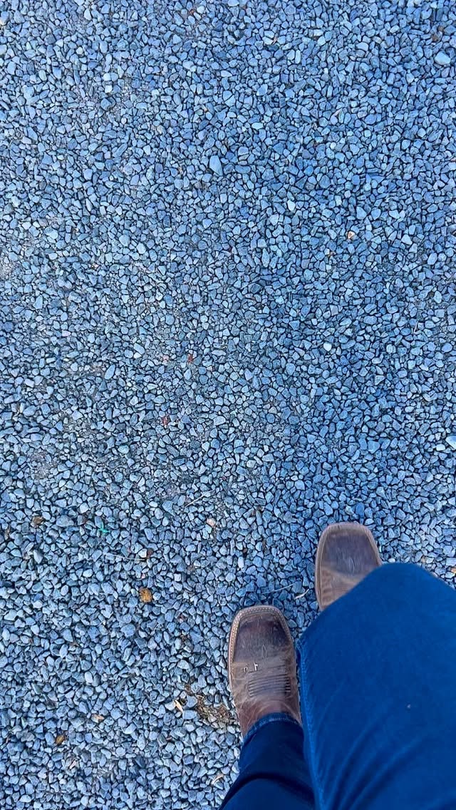 Life got in the way of my time with Ellie more than I like to admit. My days were so packed that going to the barn was impossible, but I’ve worked really hard to change that this year. I’ve prioritized going, even it’s just 10 minutes for an apple and a head scratch, and I think we’re both noticing the difference. Going to see my sweet quarter horse truly does have me loving life again. (even if we don’t jump on and go at 29 and 19 like we used to at 15 and 5 😆) #singersongwriter #quarterhorse #barnday