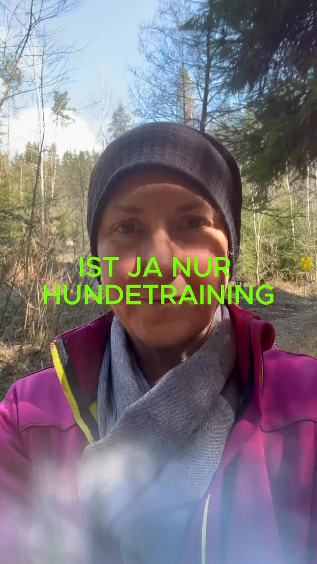 Hundeerziehung leicht gemacht ❤️ #mel4animal #worldsamys #happydog #leadership #nichtaufgeben