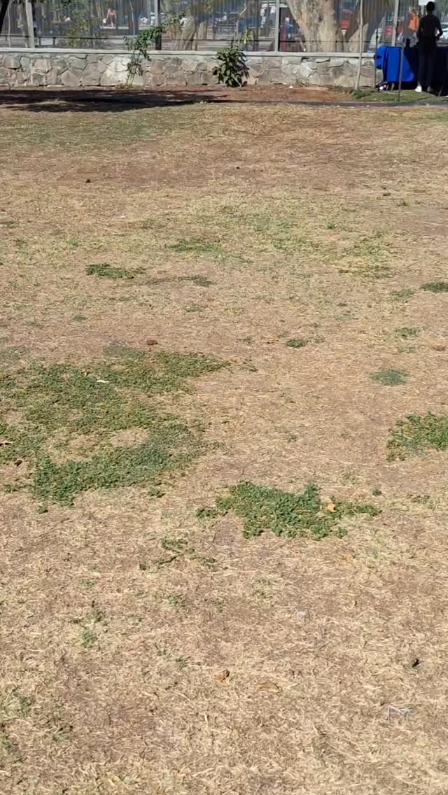 Antes y despues✨️
Un cambio hace la diferencia:
Mesa picnic y camastros ideal para disfrutar al maximo☀️🌿
#antesydespués #exteriordesign #viralreels #encontacto #camastros