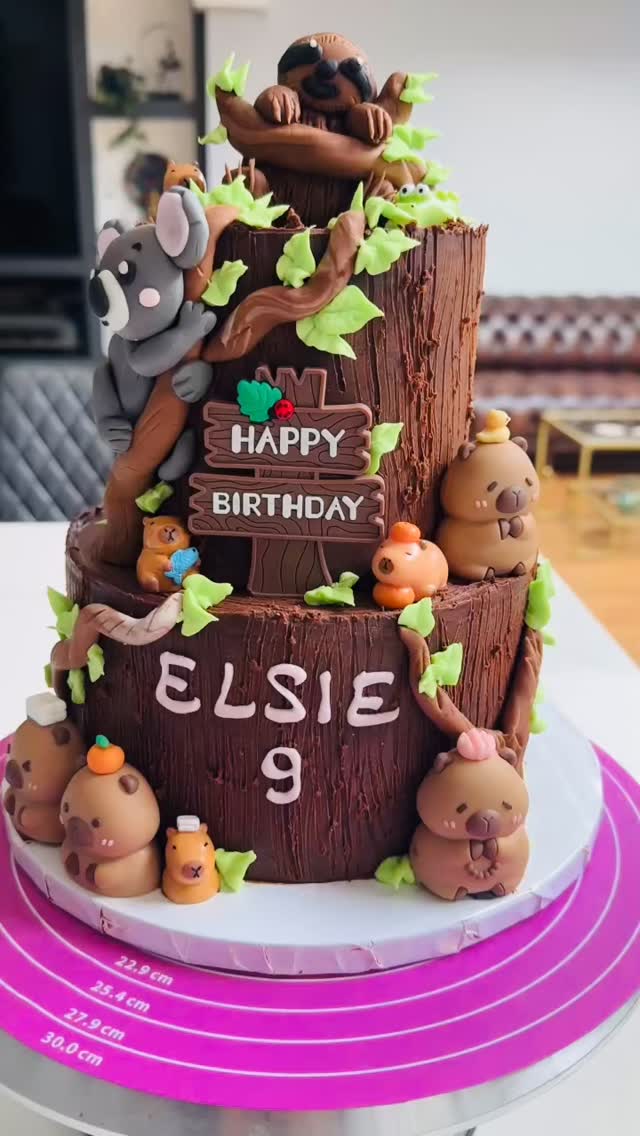 Cute tier cake with Choclate sloth, choclate koala and capybara… #capybaracake #welwyngardencitymums #hertfordshirecakes #stalbansmums #stalbans