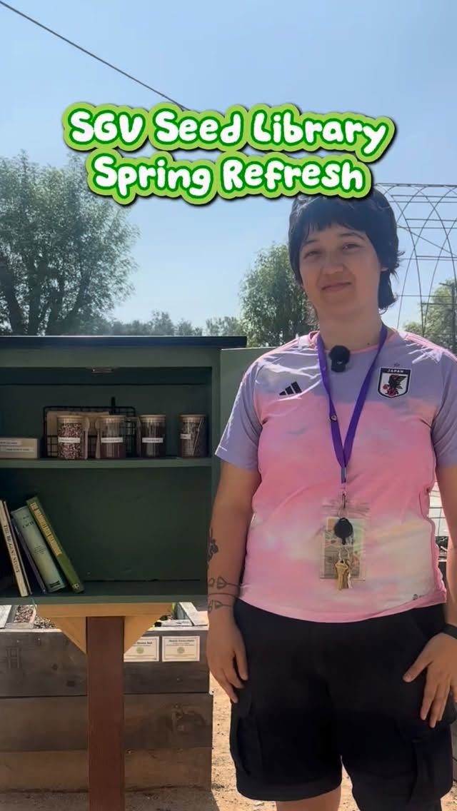 We’re so grateful for the continued support from our community 💚
Our seed library has been refreshed for spring, with new varieties ready to plant and grow.
Come stop by and pick up some FREE seeds! 🌱
📍Monrovia Community Garden
303 W Colorado Blvd, Monrovia, CA 91016