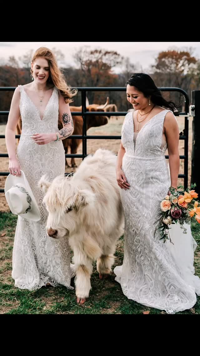 Small guest list. Real moments. ✨
Micro weddings didn’t disappear — they just got smarter.
Turns out, intimacy doesn’t scale … and that’s exactly the point.
We’re breaking down why they’re the new power move
(and yes … we’re still thinking about this shoot 🐮).
Full story on the blog. 🧡🩵🤍
Creative Team:
Photography | @denisevanphotography
Venue | @sterlinghillsfarm
Hair & Makeup | @alinagkar
Floral Design | @kintsurustudios
Gowns | @stanthonysbridal
Models | @glamarose @shaelynn.everson
Stationary | @thedandelionpatch
Donuts | @yodersdutchdelights
Jewelry | @jewelrybyroz
Cow Models | Sylvie & Bernadette