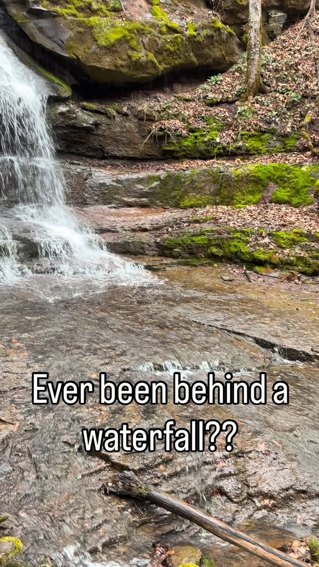 A different view of Big Branch Falls.
Yes, you can walk behind it. Just use caution as the rocks can be slippery!
P.S. the wildflowers are pretty amazing right now!
#exploresummerscounty #almostheaven #visitwv #gotowv #newrivergorgenationalpark