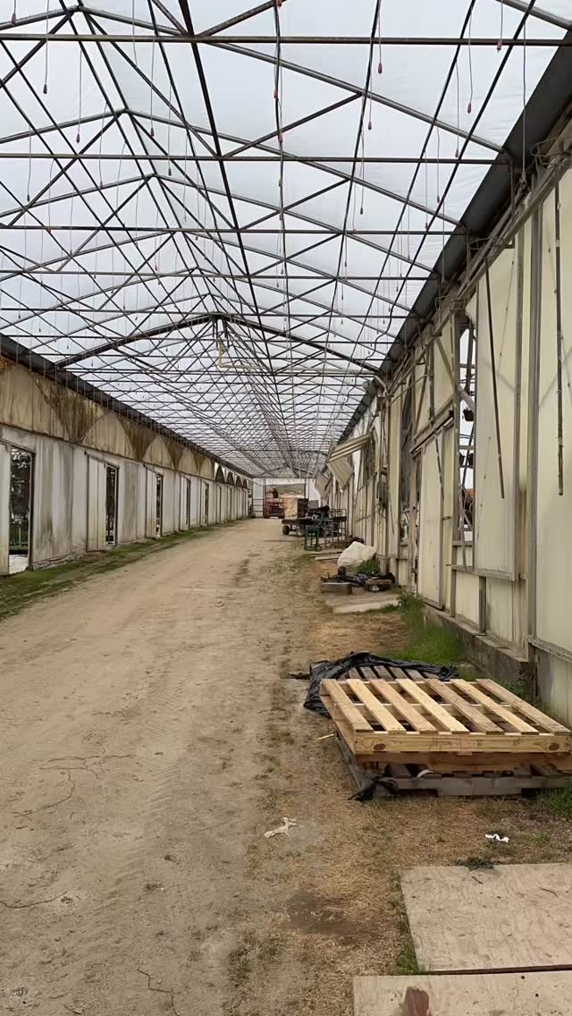 The baskets were hung in the greenhouse with care, in hopes that springtime soon would be there.