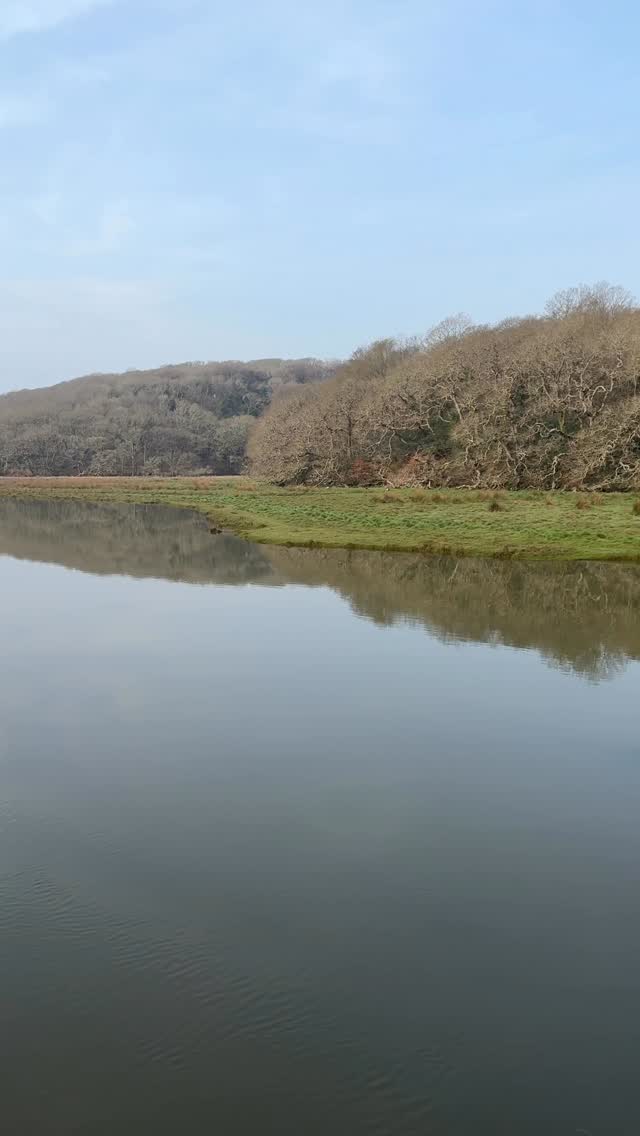 Ruan Lanihorne. Morning high tide. It was so quiet and peaceful. With the occasional rowdy Canada geese shouting match.
#roselandpeninsula #peaceful #slowliving