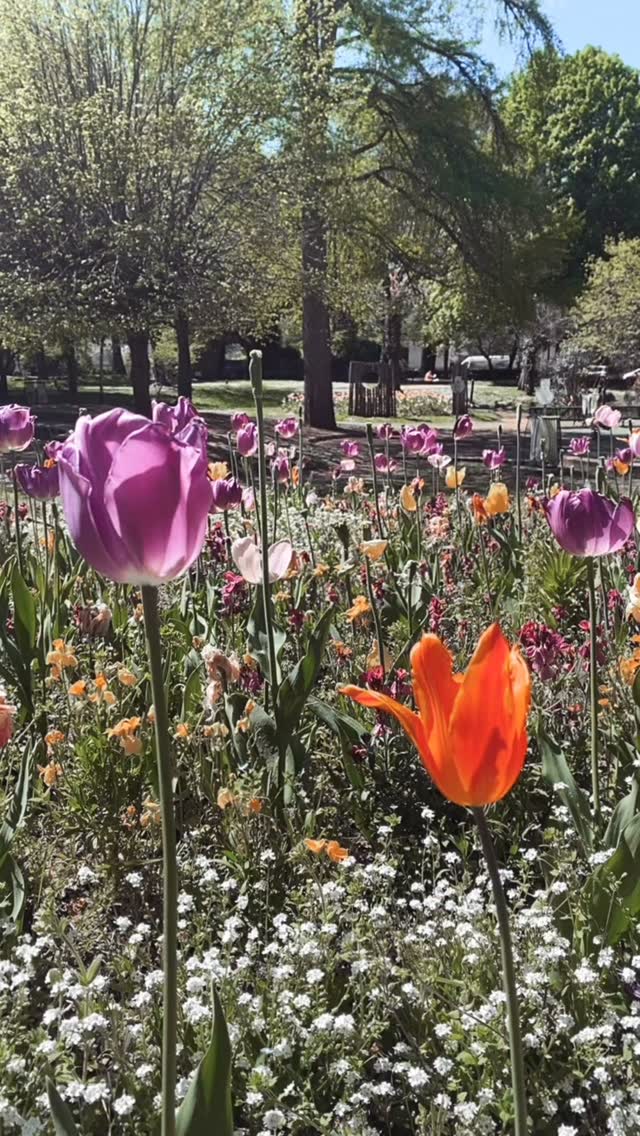 • MAKING OFF •
Enjoy nos stories ratées pour annoncer les gagnantes du tirage au sort !
Merci @annesophiebender_photographe pour cette belle aventure à tes côtés 🫶🏼
Merci pour les rires, merci pour les larmes.
Et encore et toujours cette même conclusion : ne jamais abandonner !
❤️