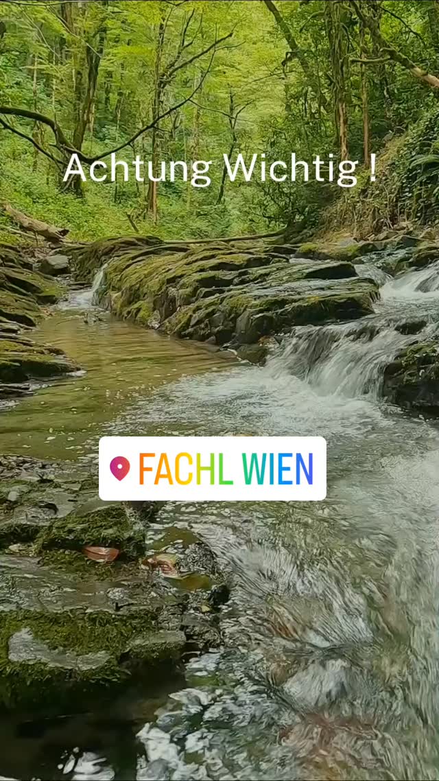 Achtung meine Drachen sind noch bis 12 April dort zu kaufen also schnell sein 😉🐉 #letzechance #handmadewithlove❤ #naxrons #dragons #drache