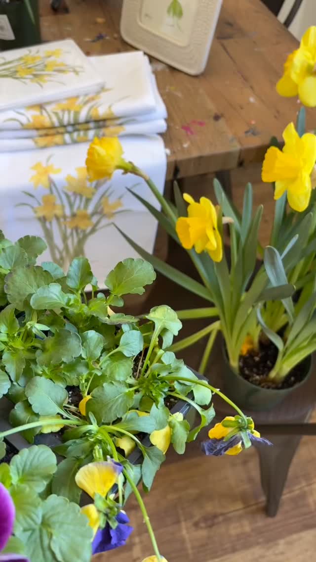 Open the store with me on this beautiful chilly Sunday 🌸
Open 12-5 Sundays
10-5 Wednesday through Saturday