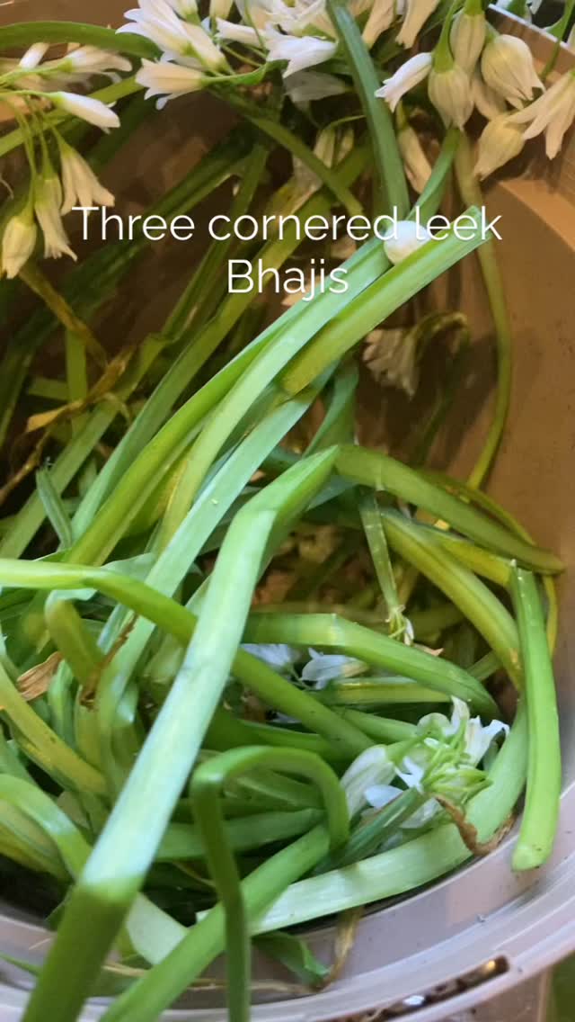 The simplest and most delicious recipe - three cornered leek bhajis! Gram flour, bicarb and mild curry powder mixed with water and combined with three cornered leek stems and leaves make the most delicious savoury bites!
Allium triquetrum is a schedule 9 invasive, so the more we eat the better! The bulbs work well pickled and the leaves heated and infused in sunflower oil make a fabulous infused finishing oil. #forage #alliums #cornwall #homemade #cornwall eatyourweeds
