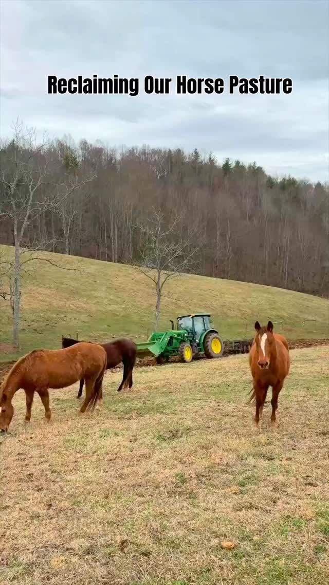 We reclaimed our horse pasture and turned it into a smooth, green paradise for our equine friends! Can't wait to see them running around in their comfy new space. It's all about giving them the best! ๐พ๐ด๐
ใ
ค
See more on our YouTube Channel, ๐ญ๐๐๐๐
๐๐ ๐น๐๐๐๐ ๐ฏ๐๐๐๐๐๐๐๐
ใ
ค
#horse #horses #pasture #farming #farm #tractor