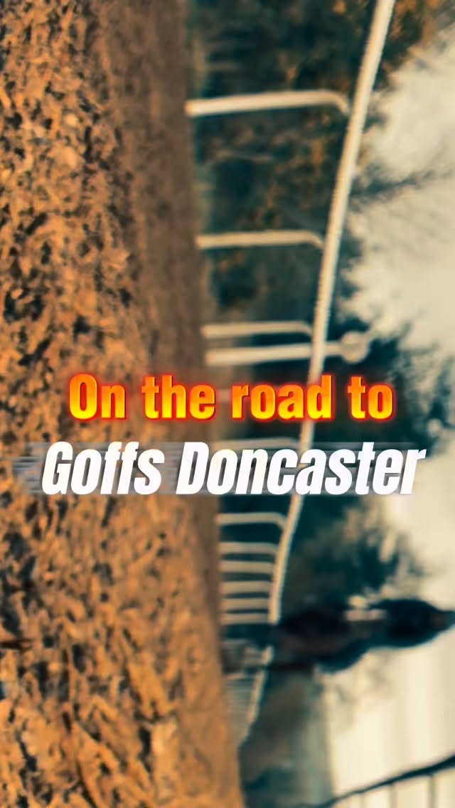 🛑 First stop on our 2026 Breeze-up campaign 🔜📍Three of our most impressive colts will hit the turf at Doncaster Racecourse for one of Europes most anticipated Breeze-up Sale @goffs__uk. Renowned for sourcing early, sharp, fast types - our boys fit right in! 🏇💨⏰ ⭕️ Lot 136 - Blue Point @barodastud @darleystallions ⭕️ Lot 176 - Palace Pier @darleystallions ⭕️ Lot 194 - Minzaal @churchviewstud @shadwell_eu 👀Watch out @the_royal_ascot 👑 #breezeup #winner #racehorse #thoroughbreds #gallop